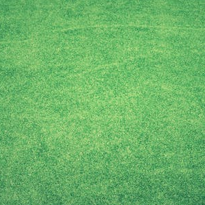 Some Image Alt Tags!